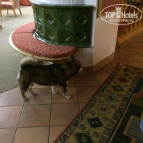 фото из отзыва ID 1363852