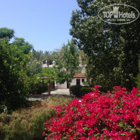 фото из отзыва ID 1362680