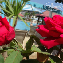 фото из отзыва ID 1364071