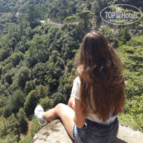 фото из отзыва ID 1364128