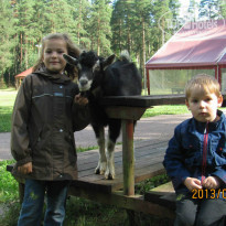 фото из отзыва ID 1364135