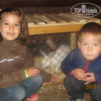 фото из отзыва ID 1364135