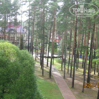 фото из отзыва ID 1364135