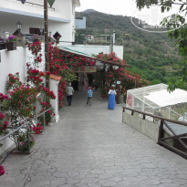 фото из отзыва ID 1364059