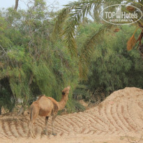 фото из отзыва ID 1363661