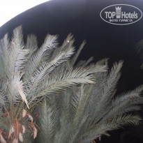 фото из отзыва ID 1363661