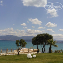 фото из отзыва ID 1364263