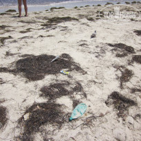 фото из отзыва ID 1364314