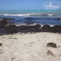 фото из отзыва ID 1364314