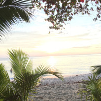 фото из отзыва ID 1364394