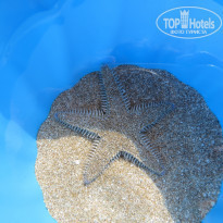 фото из отзыва ID 1364414