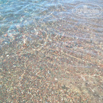 фото из отзыва ID 1361622