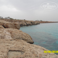 фото из отзыва ID 1364683