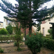 фото из отзыва ID 1364858