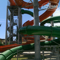 фото из отзыва ID 1364858