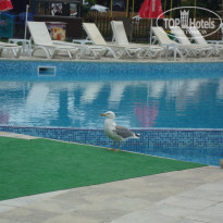 фото из отзыва ID 1364941