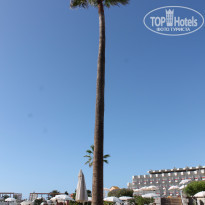 фото из отзыва ID 1364947