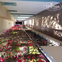 фото из отзыва ID 1364977