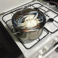 фото из отзыва ID 1365013