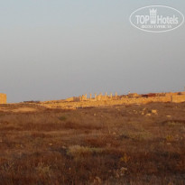 фото из отзыва ID 1365129