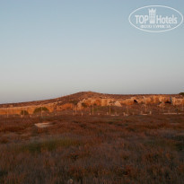 фото из отзыва ID 1365129