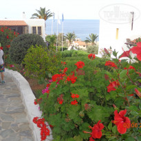 фото из отзыва ID 1365304