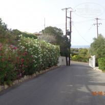 фото из отзыва ID 1365304