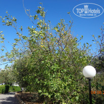 фото из отзыва ID 1365304