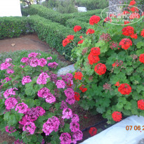 фото из отзыва ID 1365304