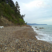 фото из отзыва ID 1365327