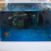 фото из отзыва ID 1365349