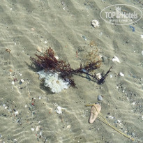 фото из отзыва ID 1365412