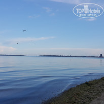 фото из отзыва ID 1365428