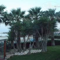 фото из отзыва ID 1365477