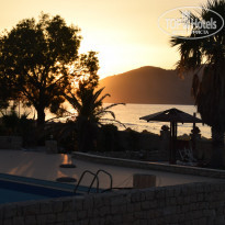 фото из отзыва ID 1365545