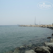 фото из отзыва ID 1365544