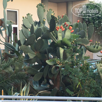 фото из отзыва ID 1364792