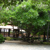 фото из отзыва ID 1365771