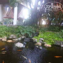 фото из отзыва ID 1365771