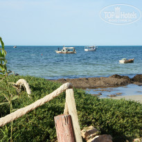 фото из отзыва ID 1365518