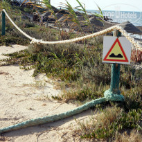 фото из отзыва ID 1365518