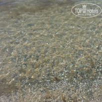 фото из отзыва ID 1365810