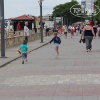 фото из отзыва ID 1365810