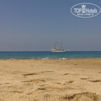 фото из отзыва ID 1365876