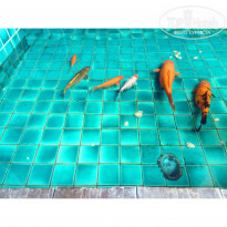 фото из отзыва ID 1365915