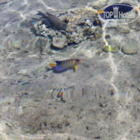 фото из отзыва ID 1365997