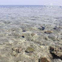 фото из отзыва ID 1365997