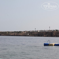 фото из отзыва ID 1365997