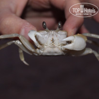 фото из отзыва ID 1365997