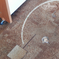 фото из отзыва ID 1366017